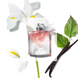 Парфумована вода для жінок Lanc&ocirc;me La Vie Est Belle, 75 мл