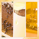 Олія для волосся Gisou Honey Infused Hair Oil 20 мл