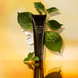 Пінка для вмивання Shiseido Future Solution LX New Extra Rich Cleansing Foam 125мл