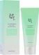 Освежающий гель для умывания лица Beauty of Joseon Green Plum Refreshing Cleanser, 100 ml
