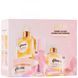 Зволожуючий подарунковий набір для волосся та губ Gisou Honey Gloss Hydration Heroes Gift Set